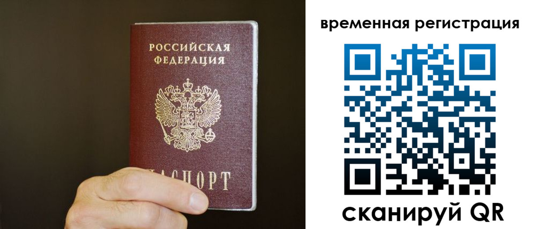 прописка гарантия в Первомайске